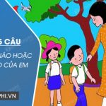 Viết 4-5 câu kể về cô giáo hoặc thầy giáo của em