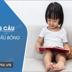 Viết 4-5 câu tả chú gấu bông