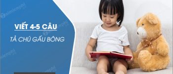 Viết 4-5 câu tả chú gấu bông