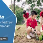 Viết 4-5 câu thuật lại việc trồng cây