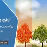 Viết 4-5 câu về một mùa em yêu thích