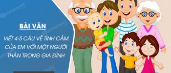 Viết 4-5 câu về tình cảm của em với một người thân trong gia đình