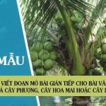 Viết đoạn mở bài gián tiếp cho bài văn tả cây phượng, cây hoa mai hoặc cây dừa