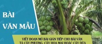 Viết đoạn mở bài gián tiếp cho bài văn tả cây phượng, cây hoa mai hoặc cây dừa