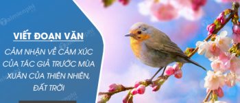 Viết đoạn văn cảm nhận về cảm xúc của tác giả Thanh Hải trước mùa xuân của thiên nhiên, đất trời