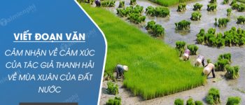 Viết đoạn văn cảm nhận về cảm xúc của tác giả Thanh Hải về mùa xuân của đất nước