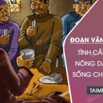 Viết đoạn văn cảm nhận về tình cảnh của người nông dân trong Sống chết mặc bay