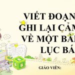 Viết đoạn văn ghi lại cảm xúc về một bài thơ lục bát (26 Mẫu)