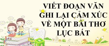 Viết đoạn văn ghi lại cảm xúc về một bài thơ lục bát (26 Mẫu)