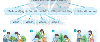 Viết đoạn văn kể lại hoạt động của các bạn nhỏ trong tranh lớp 3 (16 Mẫu)