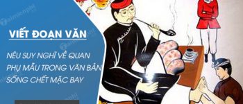 Viết đoạn văn khoảng 8 câu nêu suy nghĩ của em về quan phụ mẫu trong văn bản Sống chết mặc bay