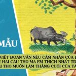 Viết đoạn văn nêu cảm nhận của em về hai câu thơ mà em thích nhất trong bài thơ Muốn làm thằng Cuội của Tản Đà, trong đó có sử dụng hai từ tượng hình