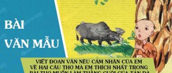 Viết đoạn văn nêu cảm nhận của em về hai câu thơ mà em thích nhất trong bài thơ Muốn làm thằng Cuội của Tản Đà, trong đó có sử dụng hai từ tượng hình