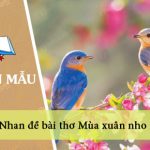 Viết đoạn văn nêu cảm nhận của em về nhan đề bài thơ Mùa xuân nho nhỏ