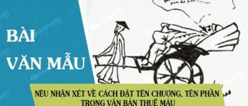 Viết đoạn văn nêu nhận xét về cách đặt tên chương, tên các phần trong văn bản Thuế máu