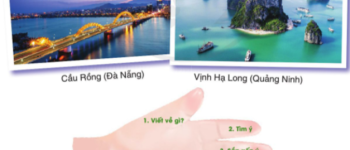 Viết đoạn văn nêu những điều em quan sát được trong bức ảnh giới thiệu một cảnh đẹp ở nước ta (25 Mẫu)