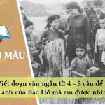 Viết đoạn văn ngắn từ 4 – 5 câu để nói về ảnh của Bác Hồ mà em được nhìn thấy