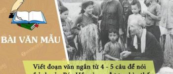 Viết đoạn văn ngắn từ 4 – 5 câu để nói về ảnh của Bác Hồ mà em được nhìn thấy