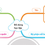 Viết đoạn văn ngắn từ 5 đến 7 câu tả một đồ dùng học tập của em lớp 3 hay nhất (20 Mẫu)