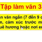 Viết đoạn văn ngắn từ 7 đến 9 câu nêu tình cảm cảm xúc trước một cảnh đẹp ở quê hương hoặc nơi em ở lớp 3 (40 Mẫu)