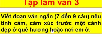 Viết đoạn văn ngắn từ 7 đến 9 câu nêu tình cảm cảm xúc trước một cảnh đẹp ở quê hương hoặc nơi em ở lớp 3 (40 Mẫu)