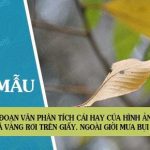 Viết đoạn văn phân tích cái hay của hình ảnh thơ: Lá vàng rơi trên giấy. Ngoài giời mưa bụi bay