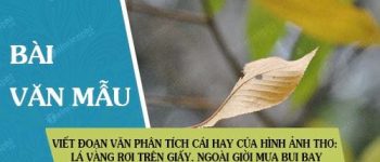 Viết đoạn văn phân tích cái hay của hình ảnh thơ: Lá vàng rơi trên giấy. Ngoài giời mưa bụi bay