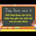 Viết đoạn văn tả lá, thân hay gốc của một cây mà em yêu thích lớp 4 hay nhất (30 Mẫu)