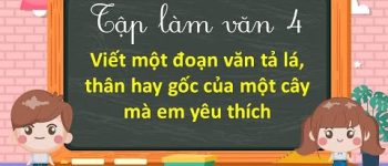 Viết đoạn văn tả lá, thân hay gốc của một cây mà em yêu thích lớp 4 hay nhất (30 Mẫu)