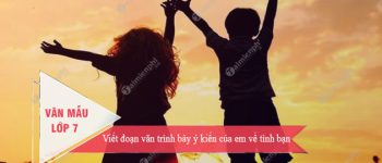 Viết đoạn văn trình bày ý kiến của em về tình bạn