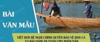 Viết đơn đề nghị chính quyền bảo vệ đàn cá và bảo đảm an toàn cho nhân dân