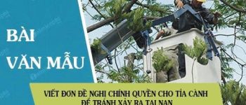 Viết đơn đề nghị chính quyền cho tỉa cành để tránh xảy ra tai nạn