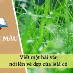 Viết một bài văn nói lên vẻ đẹp của loài cỏ