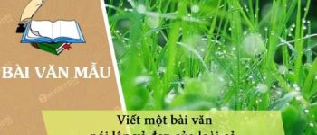 Viết một bài văn nói lên vẻ đẹp của loài cỏ