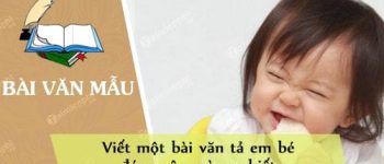 Viết một bài văn tả em bé đáng yêu mà em biết