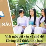 Viết một bài văn về chủ đề: Không thể thiếu tình bạn