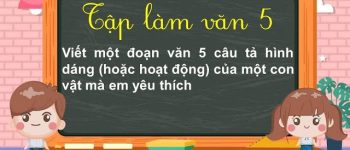 Viết một đoạn văn khoảng 5 câu tả hình dáng hoặc hoạt động của một con vật mà em yêu thích lớp 5 (33 Mẫu)