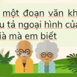 Viết một đoạn văn khoảng 5 câu tả ngoại hình của một cụ già mà em biết hay nhất (29 Mẫu)