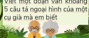 Viết một đoạn văn khoảng 5 câu tả ngoại hình của một cụ già mà em biết hay nhất (29 Mẫu)