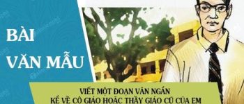 Viết một đoạn văn ngắn kể về cô giáo hoặc thầy giáo cũ của em