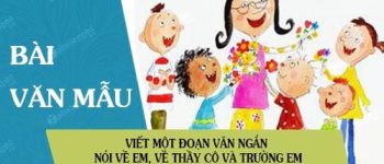 Viết một đoạn văn ngắn nói về em, về thầy cô và trường em