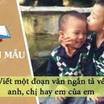 Viết một đoạn văn ngắn tả về anh, chị hay em của em