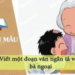 Viết một đoạn văn ngắn tả về bà ngoại