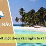 Viết một đoạn văn ngắn tả về biển