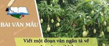 Viết một đoạn văn ngắn tả về cây mà em thích