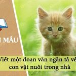 Viết một đoạn văn ngắn tả về con vật nuôi trong nhà