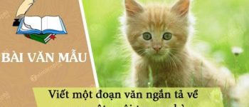 Viết một đoạn văn ngắn tả về con vật nuôi trong nhà