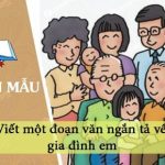 Viết một đoạn văn ngắn tả về gia đình em