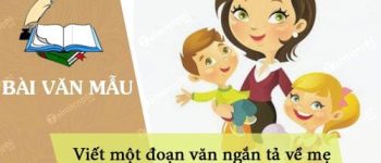 Viết một đoạn văn ngắn tả về mẹ