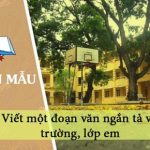 Viết một đoạn văn ngắn tả về trường, lớp em